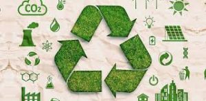 Sustainable Style: The Rise of Eco-Friendly Fashion Brands