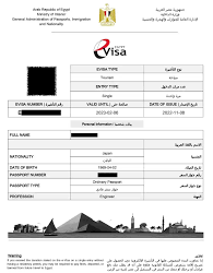 Everything You Need to Know About Egypt Visa Eligibility and Requirements
