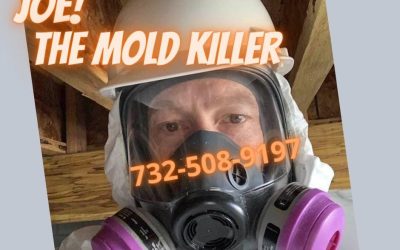 The Hidden Dangers of Mold: Protecting Your Health